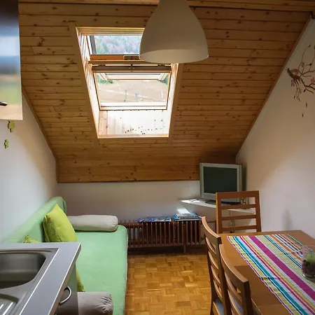 Apartments&Rooms Smučka Kranjska Gora Buitenkant foto