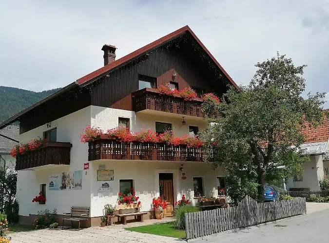 Apartments & Rooms Smucka