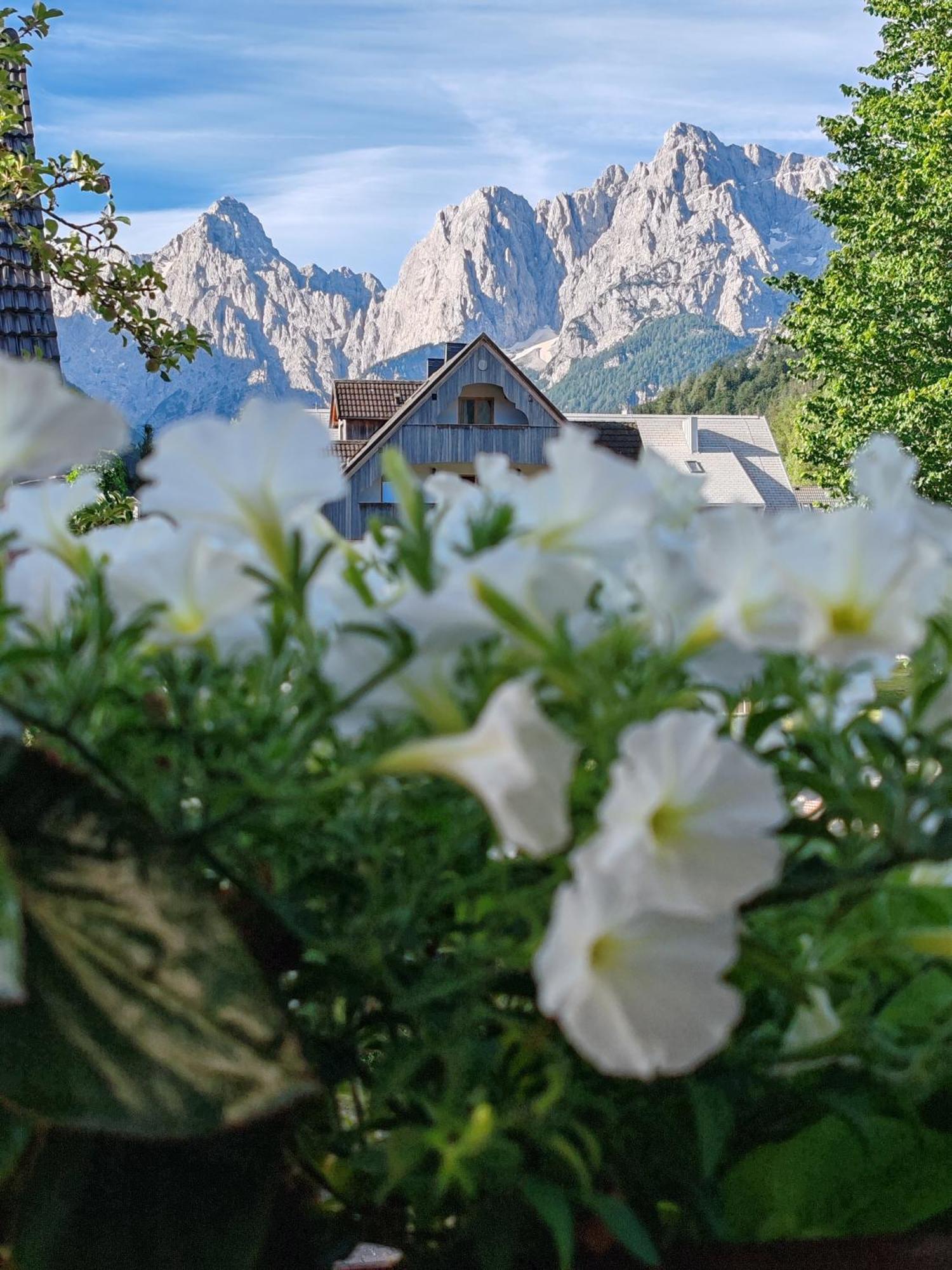 & Smucka Kranjska Gora