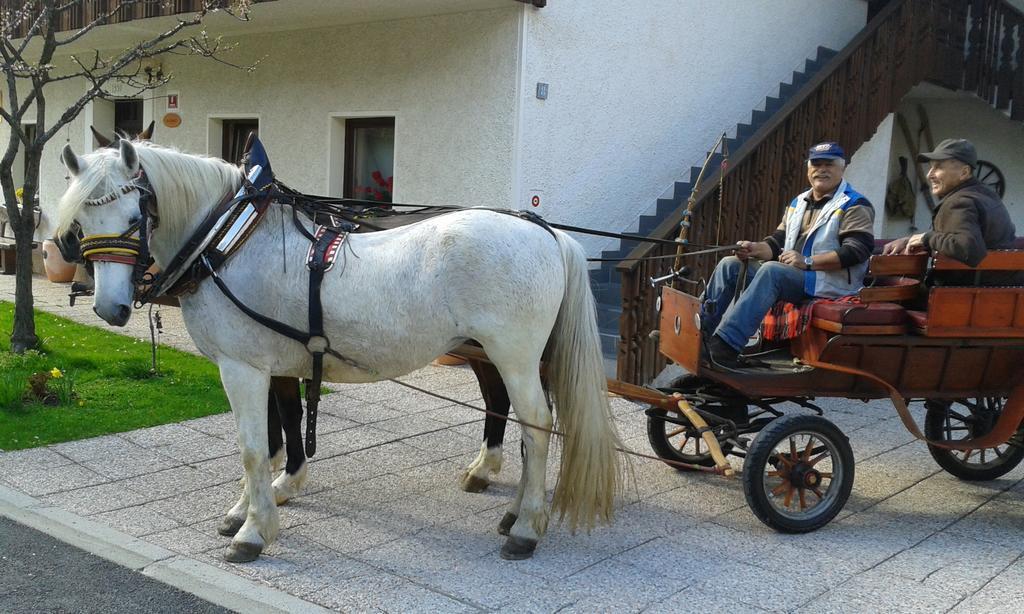 Apartment & Smucka Kranjska Gora
